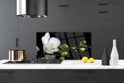 Painel cozinha Flor Planta Natureza