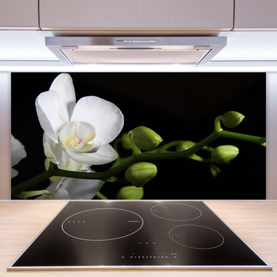 Painel cozinha Flor Planta Natureza