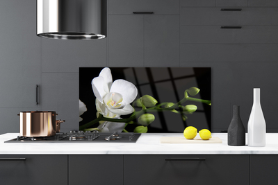 Painel cozinha Flor Planta Natureza