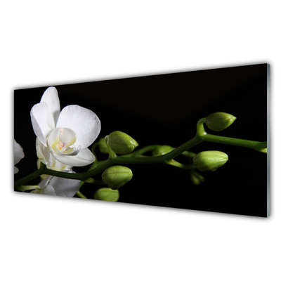 Painel cozinha Flor Planta Natureza
