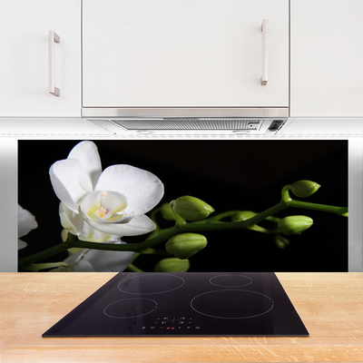 Painel cozinha Flor Planta Natureza