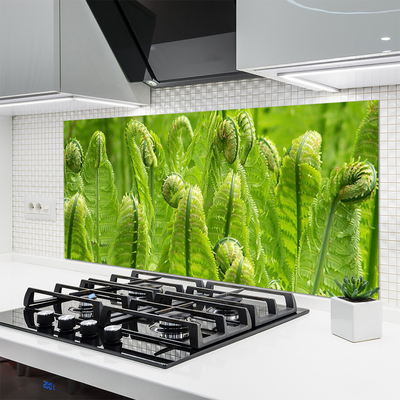 Painel vidro cozinha Natureza Vegetal