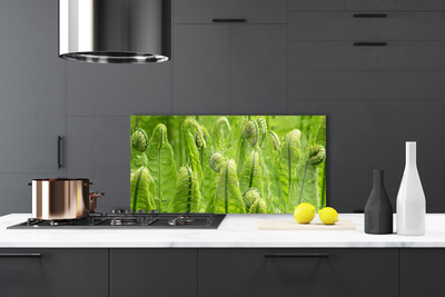 Painel vidro cozinha Natureza Vegetal