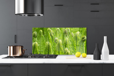 Painel vidro cozinha Natureza Vegetal