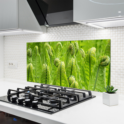 Painel vidro cozinha Natureza Vegetal