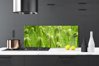 Painel vidro cozinha Natureza Vegetal