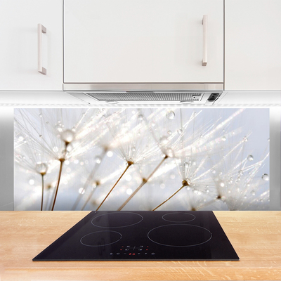 Painel vidro cozinha Planta dente-de-leão