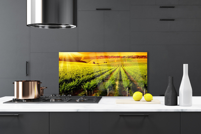 Painel cozinha Natureza do Campo