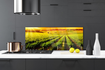 Painel cozinha Natureza do Campo