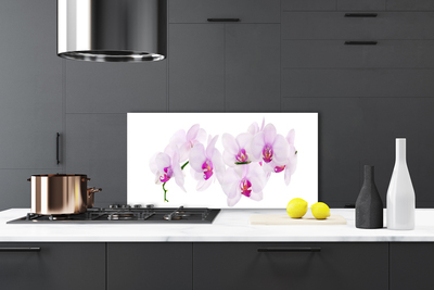 Painel cozinha Flores Planta Natureza