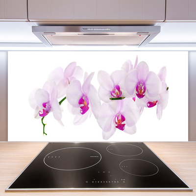 Painel cozinha Flores Planta Natureza