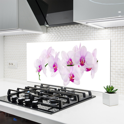 Painel cozinha Flores Planta Natureza