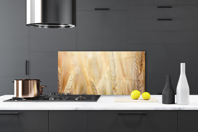 Painel vidro cozinha Natureza da planta de trigo