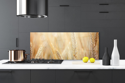 Painel vidro cozinha Natureza da planta de trigo