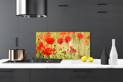 Painel cozinha Papoulas Plantam Natureza