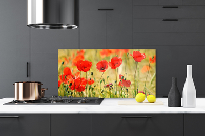 Painel cozinha Papoulas Plantam Natureza
