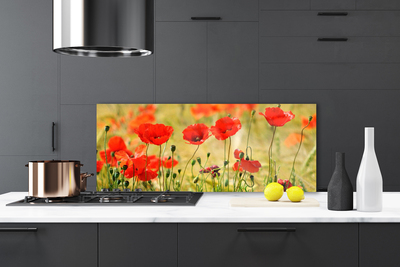 Painel cozinha Papoulas Plantam Natureza