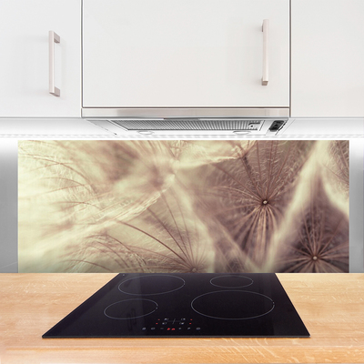 Painel vidro cozinha Planta dente-de-leão