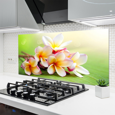 Painel cozinha Flores Planta Natureza