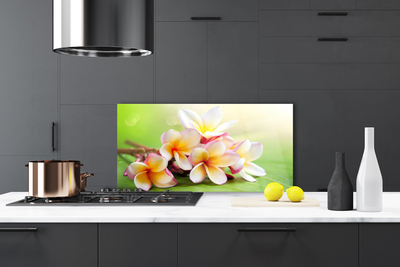Painel cozinha Flores Planta Natureza