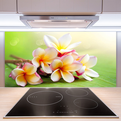 Painel cozinha Flores Planta Natureza