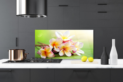 Painel cozinha Flores Planta Natureza