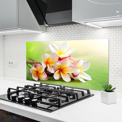 Painel cozinha Flores Planta Natureza