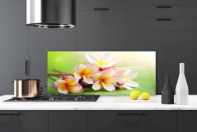 Painel cozinha Flores Planta Natureza
