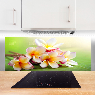 Painel cozinha Flores Planta Natureza