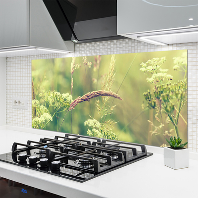Painel vidro cozinha Plantas Selvagens Natureza
