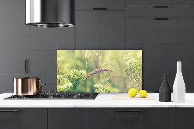 Painel vidro cozinha Plantas Selvagens Natureza