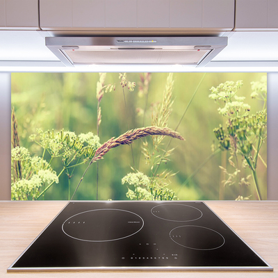 Painel vidro cozinha Plantas Selvagens Natureza