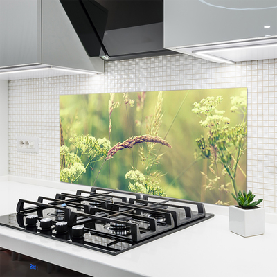 Painel vidro cozinha Plantas Selvagens Natureza
