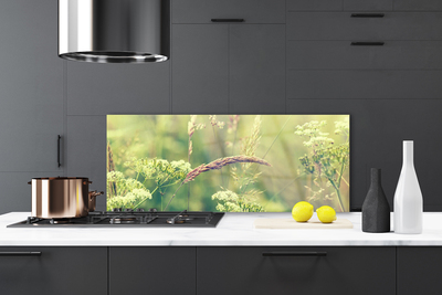 Painel vidro cozinha Plantas Selvagens Natureza