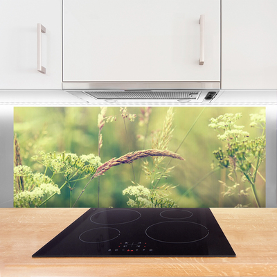 Painel vidro cozinha Plantas Selvagens Natureza