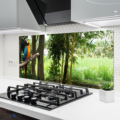 Painel cozinha Árvores Papagaio Natureza