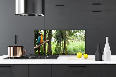 Painel cozinha Árvores Papagaio Natureza