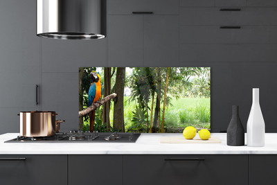 Painel cozinha Árvores Papagaio Natureza