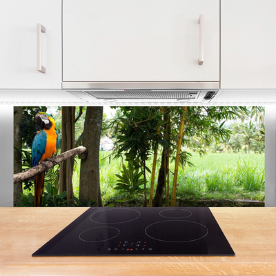 Painel cozinha Árvores Papagaio Natureza
