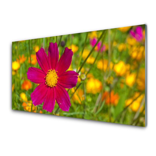 Painel vidro cozinha Flor Planta Natureza