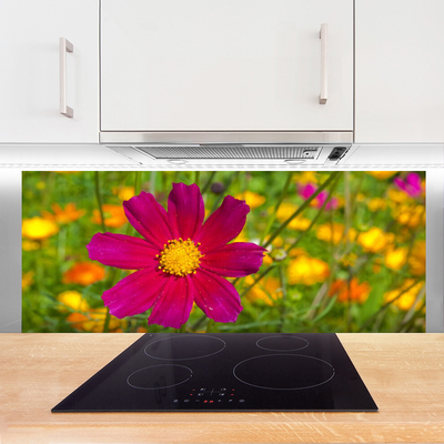 Painel vidro cozinha Flor Planta Natureza