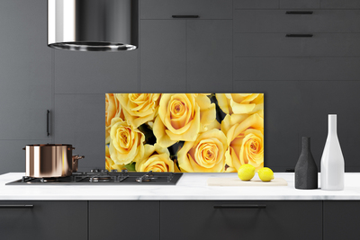 Painel vidro cozinha Planta de flores rosas