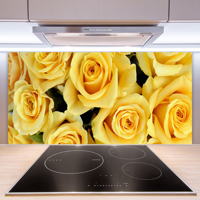 Painel vidro cozinha Planta de flores rosas