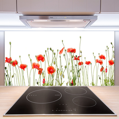 Painel vidro cozinha Papoulas Plantam Natureza