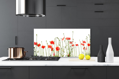 Painel vidro cozinha Papoulas Plantam Natureza