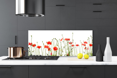 Painel vidro cozinha Papoulas Plantam Natureza