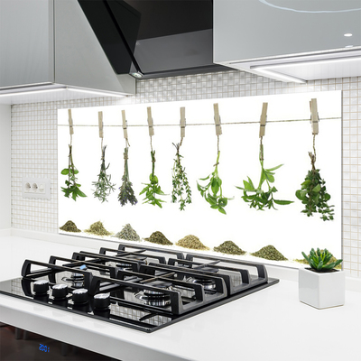 Painel vidro cozinha Flores Planta Natureza