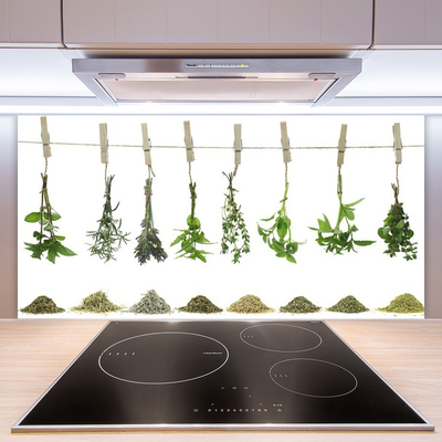 Painel vidro cozinha Flores Planta Natureza