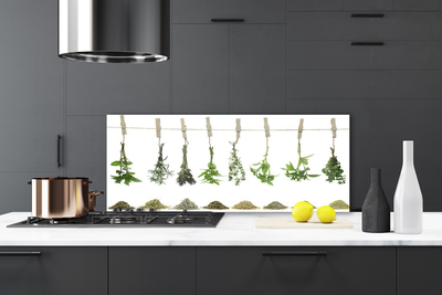 Painel vidro cozinha Flores Planta Natureza