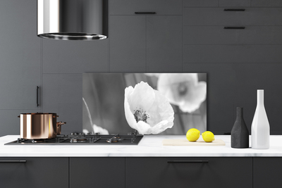 Painel vidro cozinha Papoulas Plantam Natureza